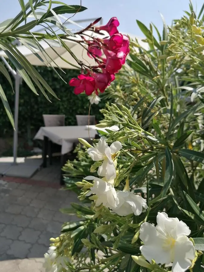 Kertesz Vendeghaz Hotel Eger